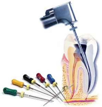 Endodontia